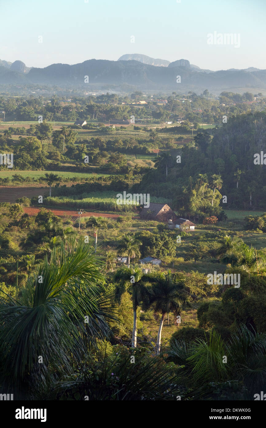 Sunrise, morning, dawn, Vinales Valley, UNESCO World heritage site, Vinales, Cuba Caribbean Stock Photo