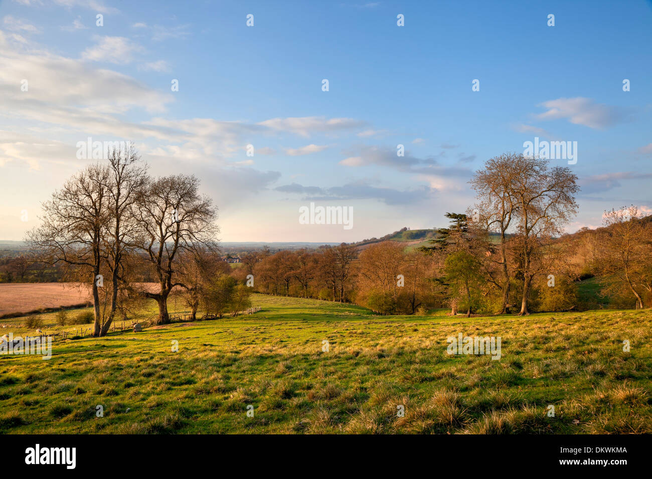 Looking towards Meon Hill from Kiftsgate. Chipping Campden, Gloucestershire, England. Stock Photo