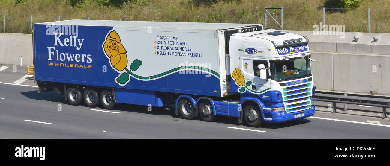 Wholesale flower delivery truck and articulated trailer on motorway