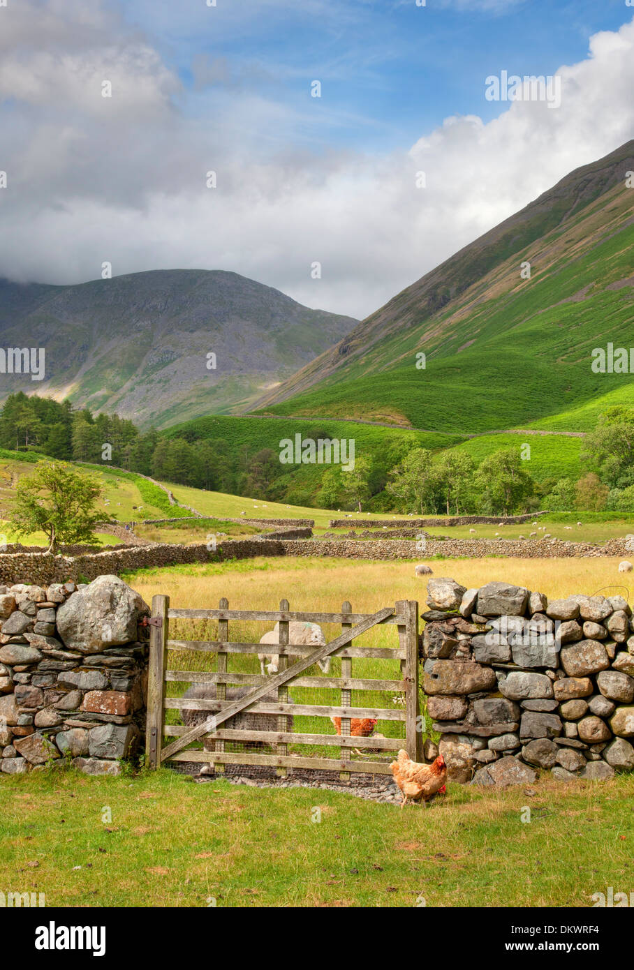 Wasdale Head near Wast Water, the Lake District, Cumbria, England. Stock Photo