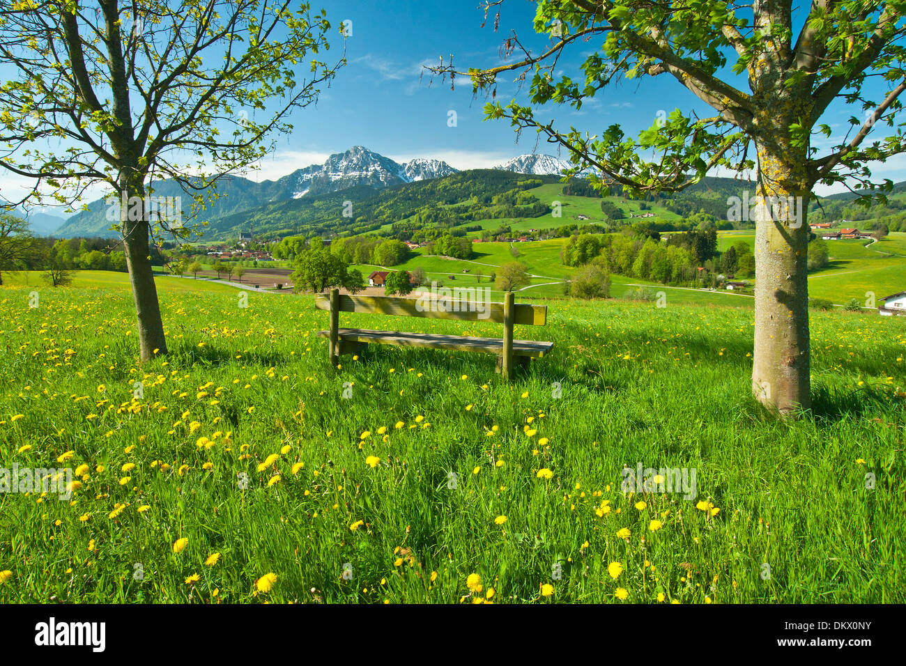 Germany Europe Bavaria Upper Bavaria scenery regional agriculture ...