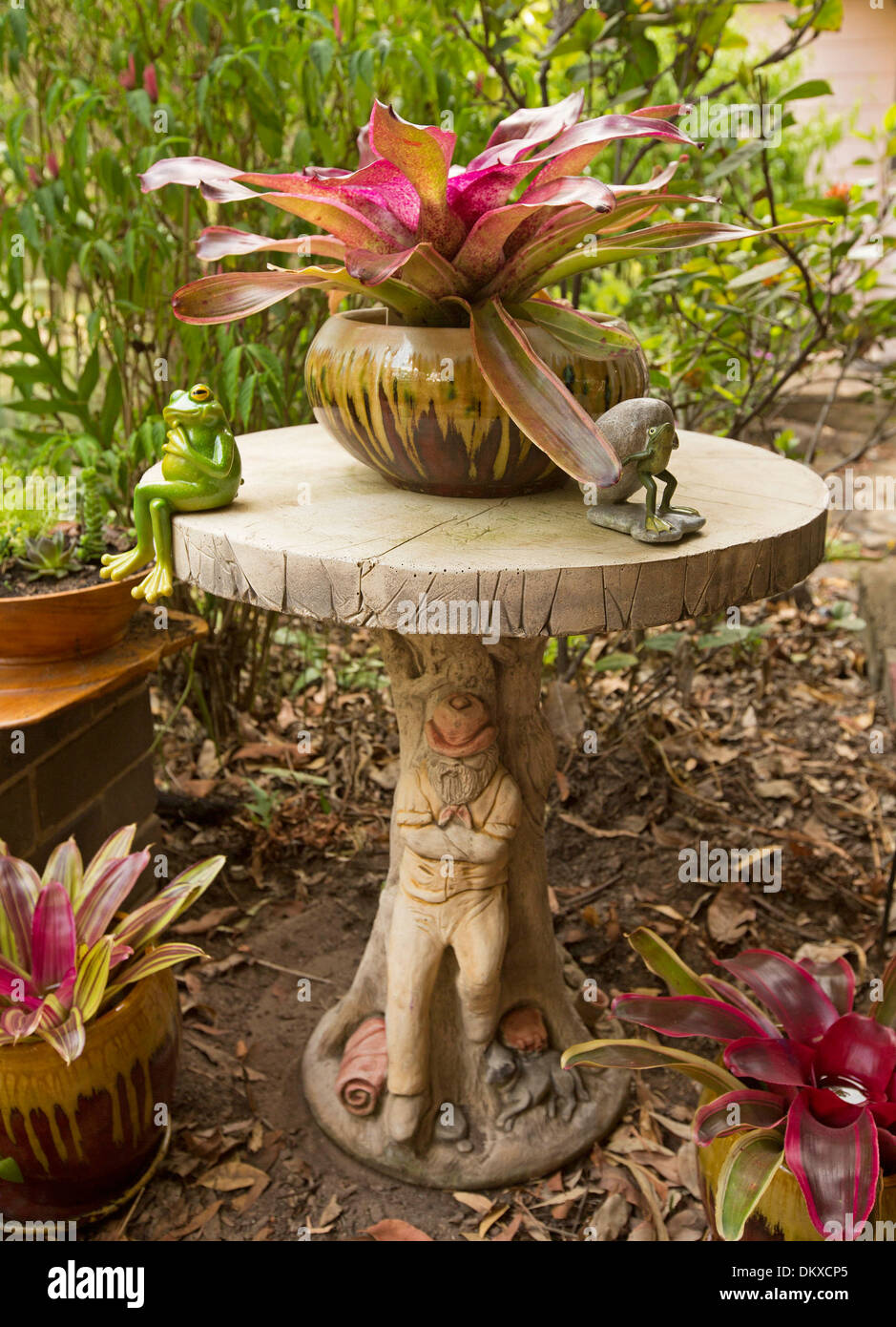 Ornate unusual concrete garden table with colourful bromeliads in decorative containers and frog sitting on edge Stock Photo