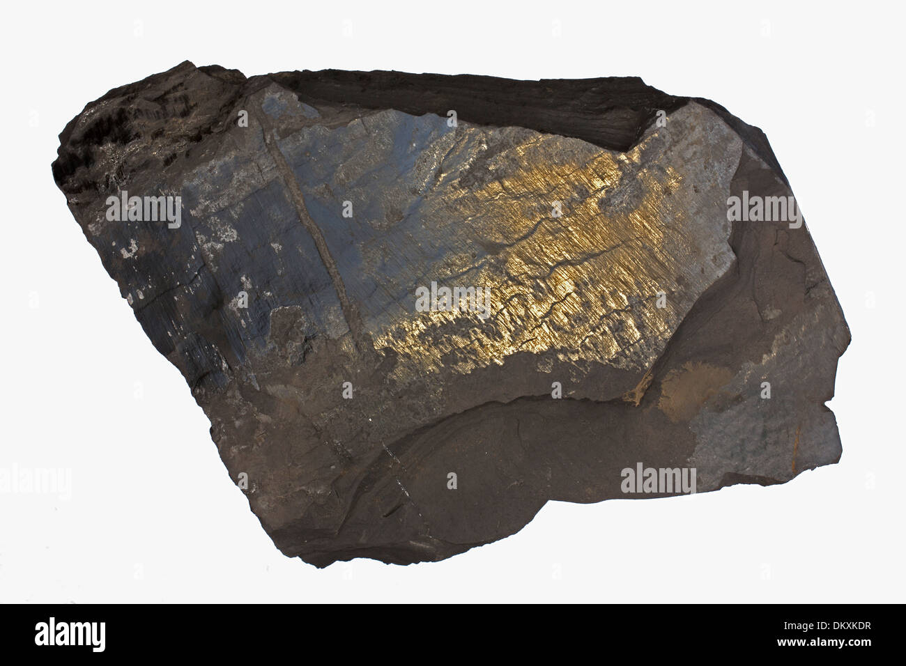 Marcellus shale, near Marcellus New York, source of natural gas