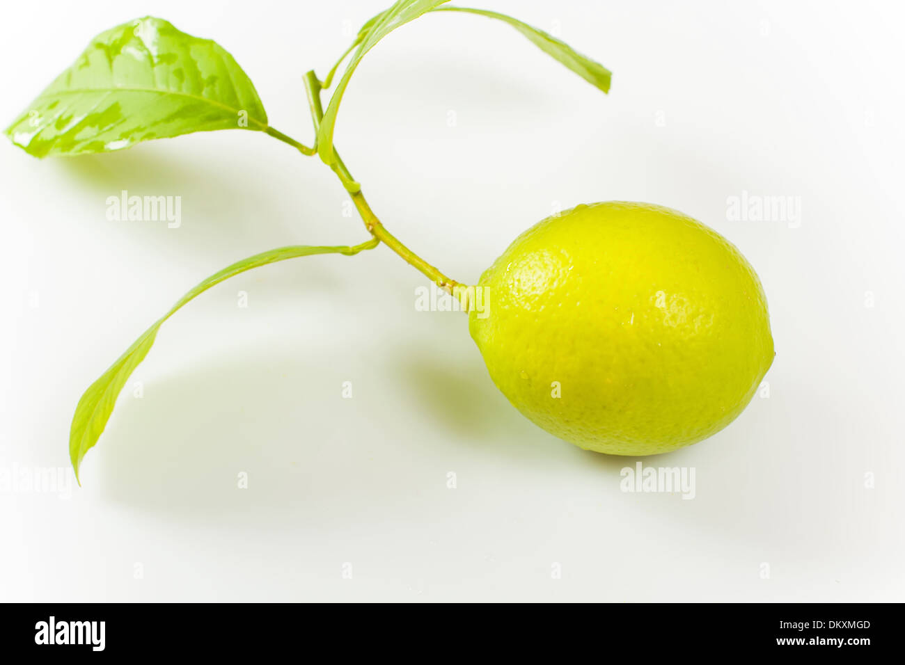 Lemon fruit hi-res stock photography and images - Alamy
