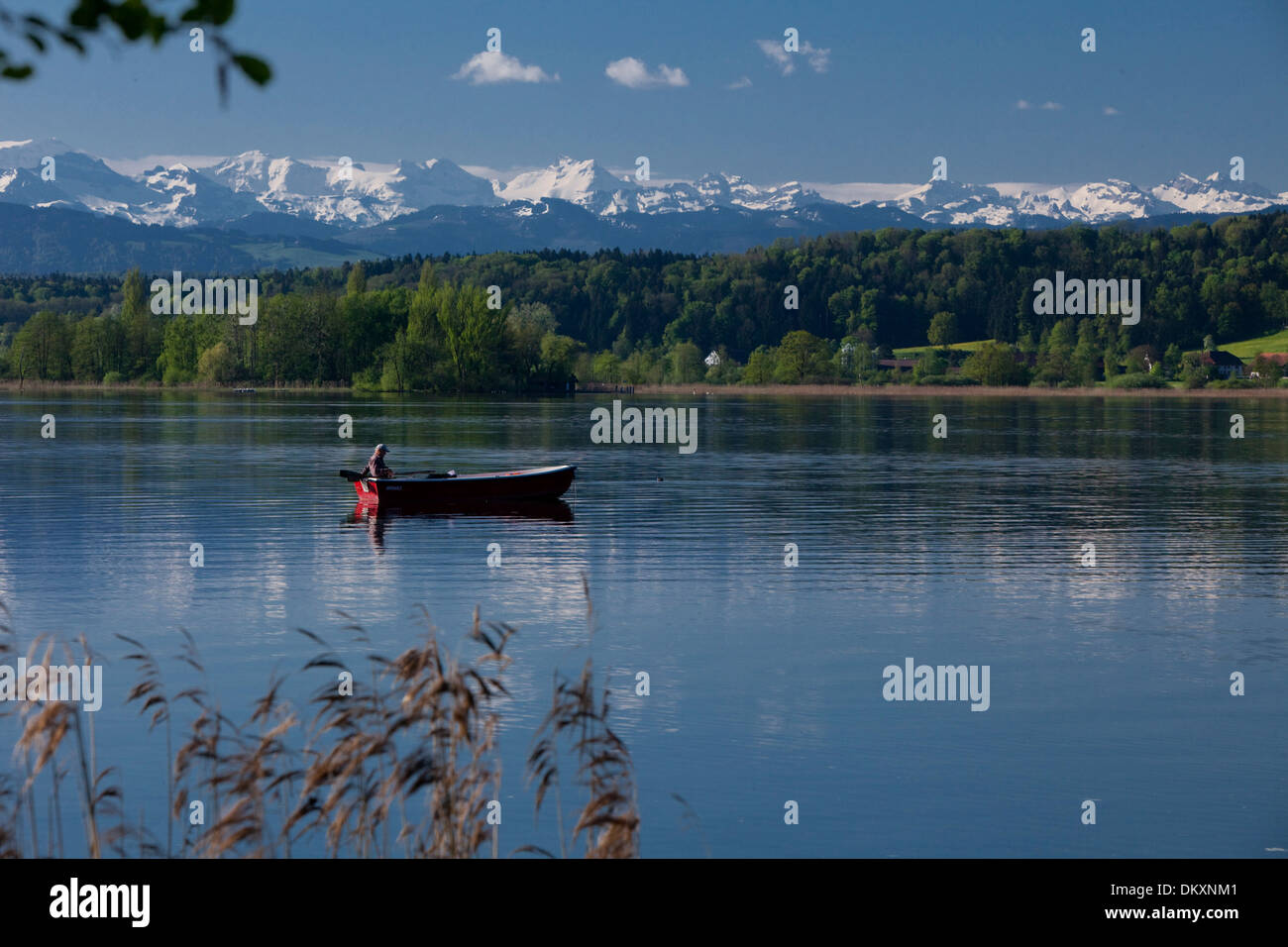 Switzerland, Europe, lake, ship, boat, ships, boats, Alps, canton, ZH, Zurich, spring, Greifensee, Lake Greifen, boat Stock Photo