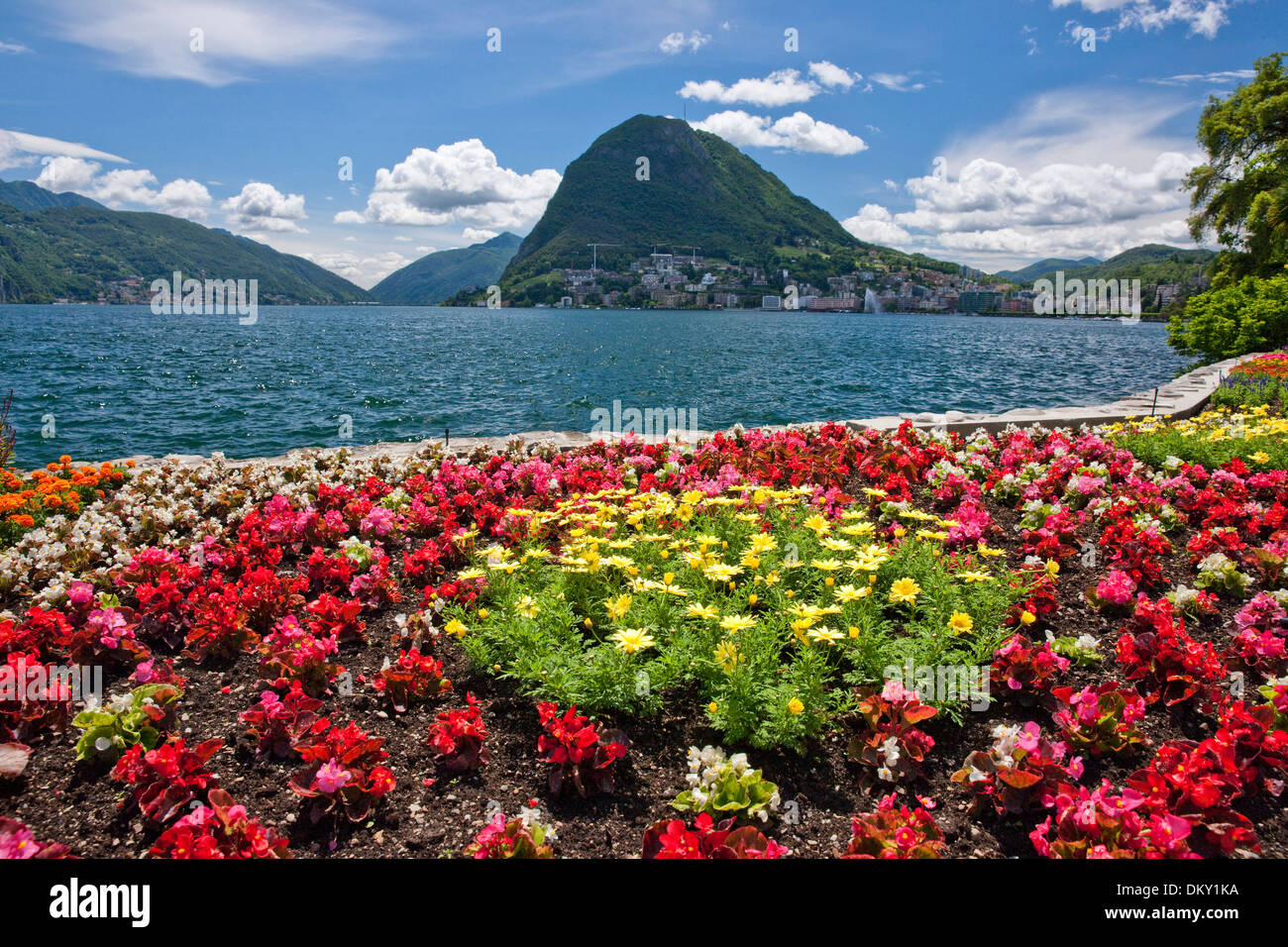 Switzerland Europe flowers flowerbed lake canton TI Ticino Southern