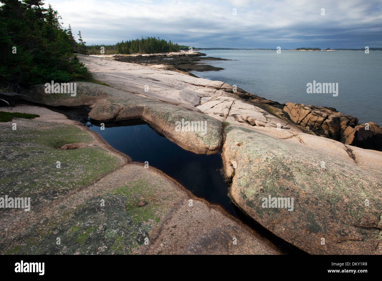 Great Wass Island Preserve, Maine Stock Photo