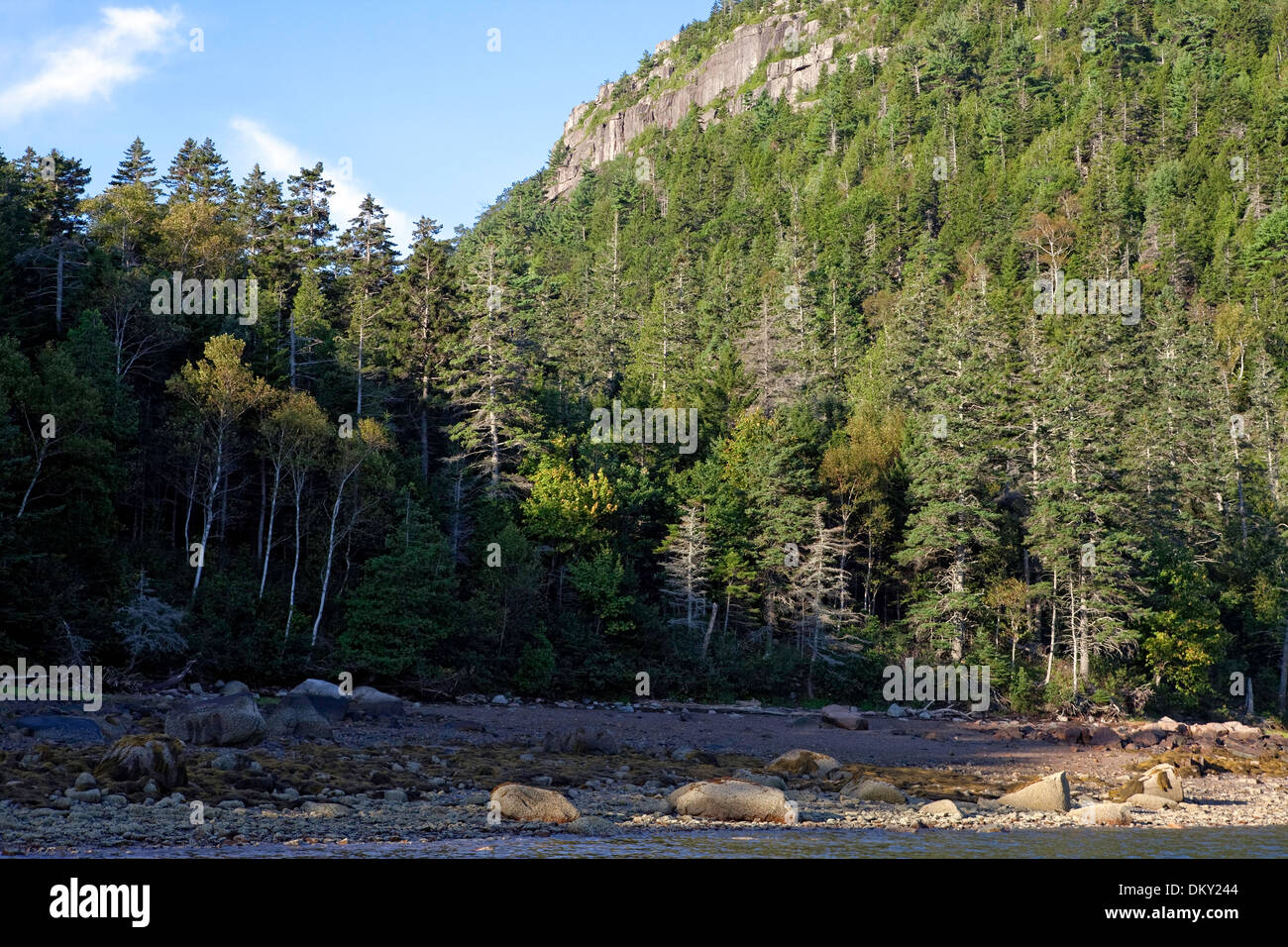 Valley Cove, Somes Sound, Mount Desert Island, Acadia National Park, Maine Stock Photo
