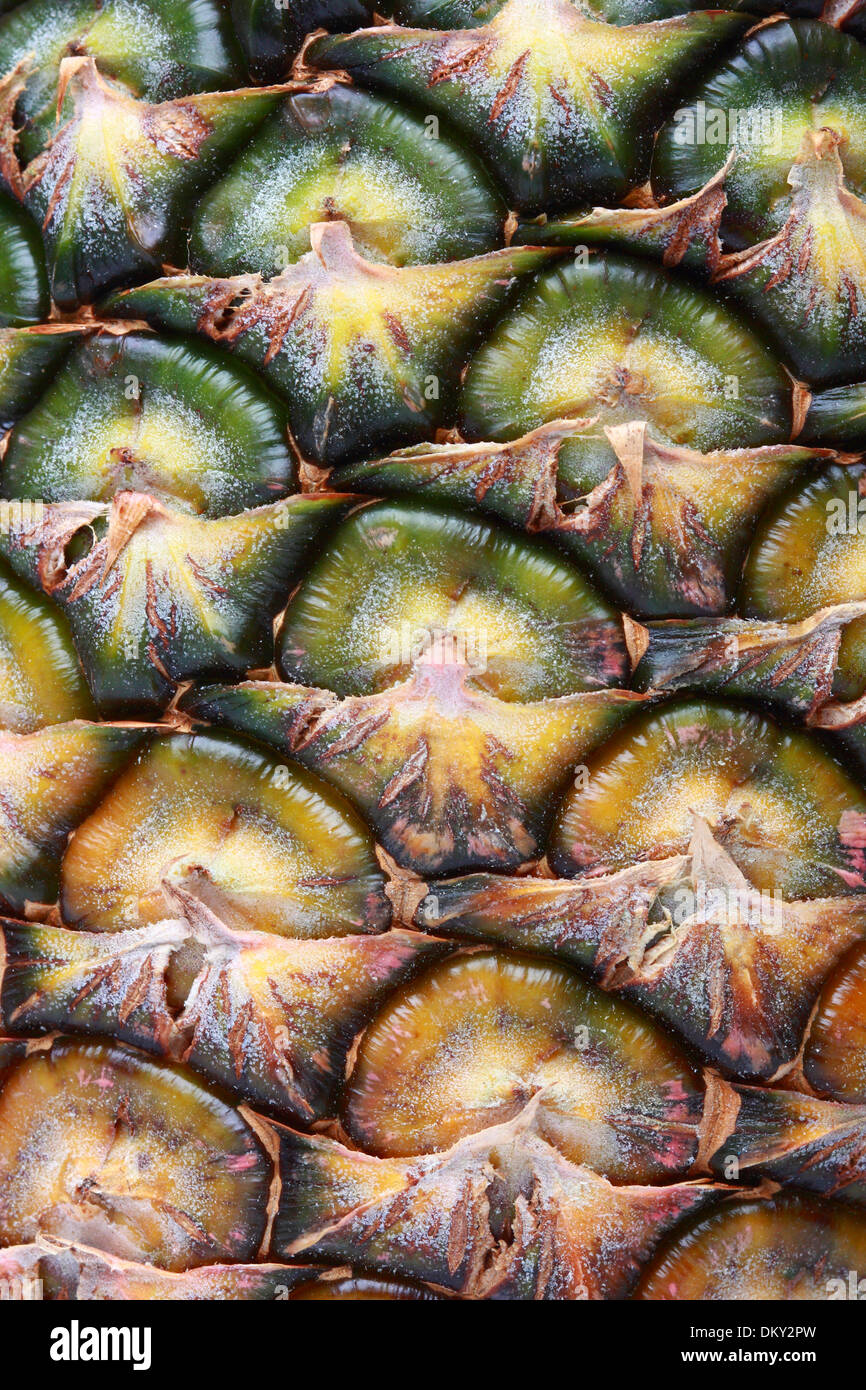 Closeup pineapple shell with full frame short Stock Photo