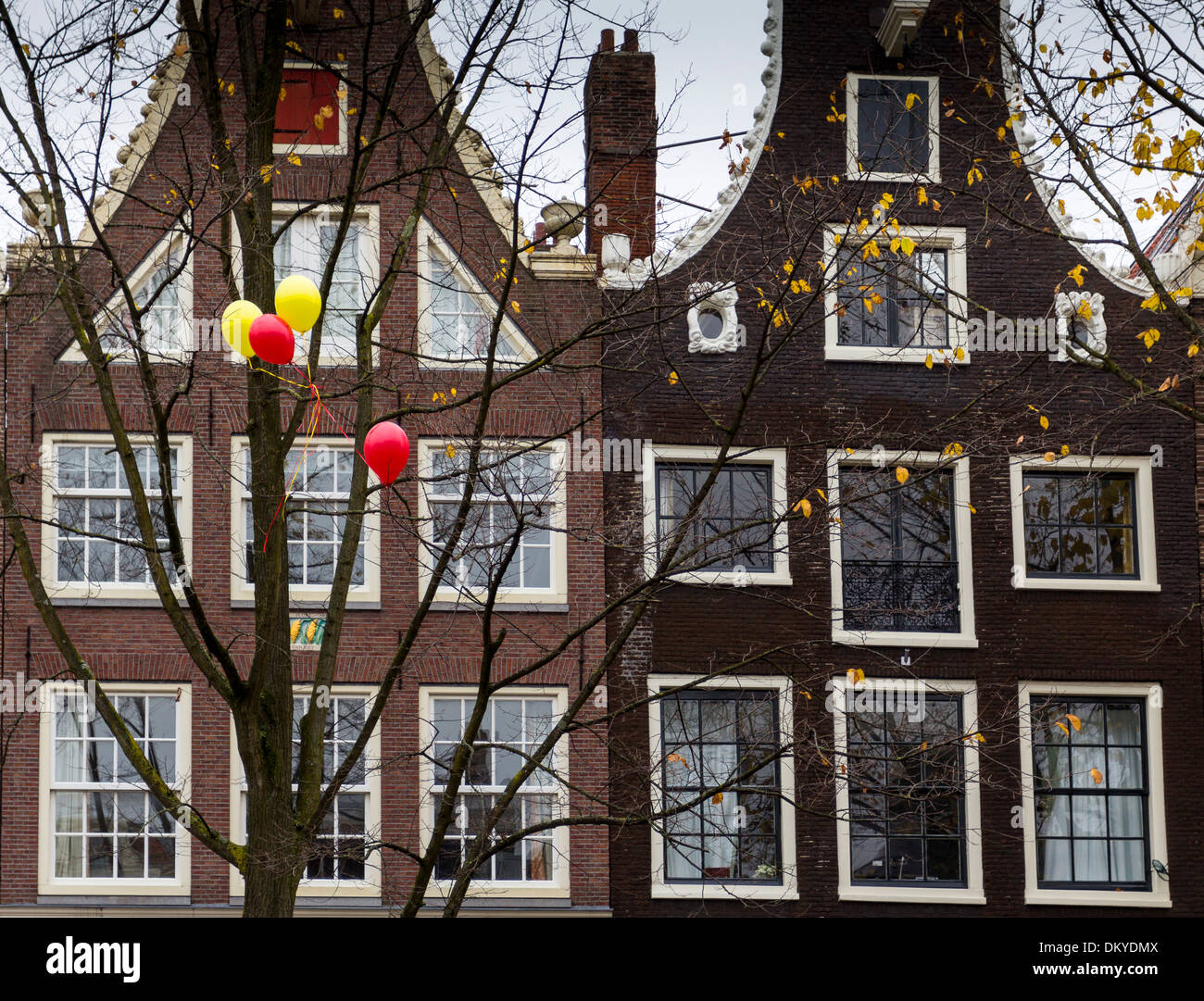 AMSTERDAM HOLLAND RED AND YELLOW BALLOONS CAUGHT IN WINTER TREES Stock