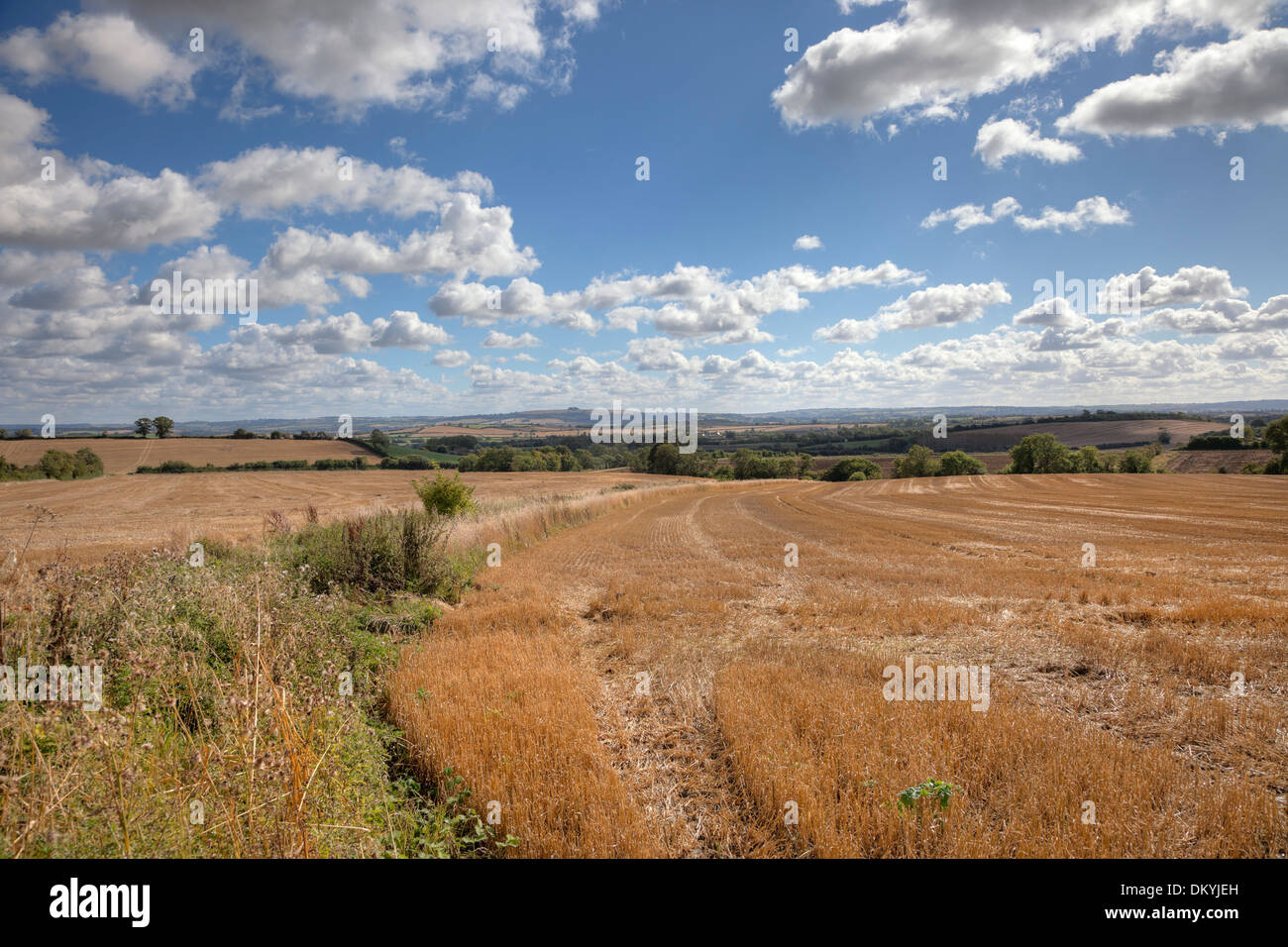 Wheat fields after harvest, English countryside, Gloucestershire, England. Stock Photo