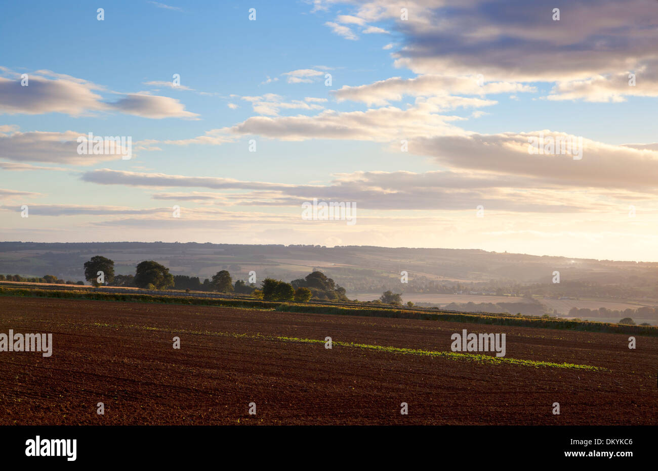 Rural Cotswolds, Gloucestershire, England. Stock Photo