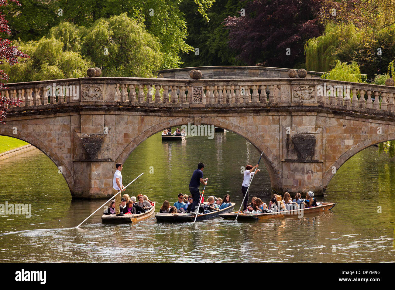 Groups of people punt down the River Cam in Cambridge today, Thursday in the spring sunshine, May 16 2013. Stock Photo