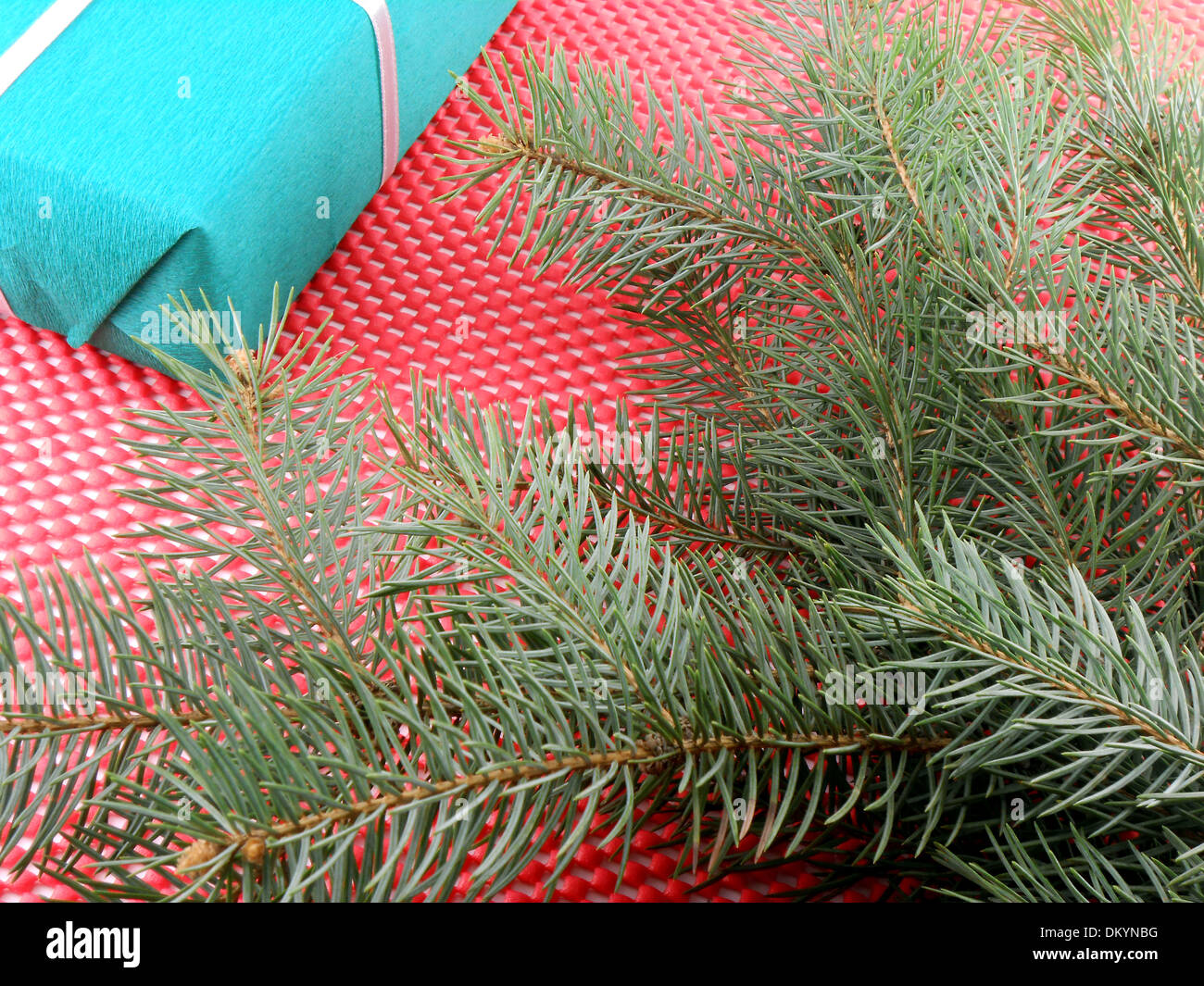 green gift box with white bow and new year tree branch Stock Photo - Alamy