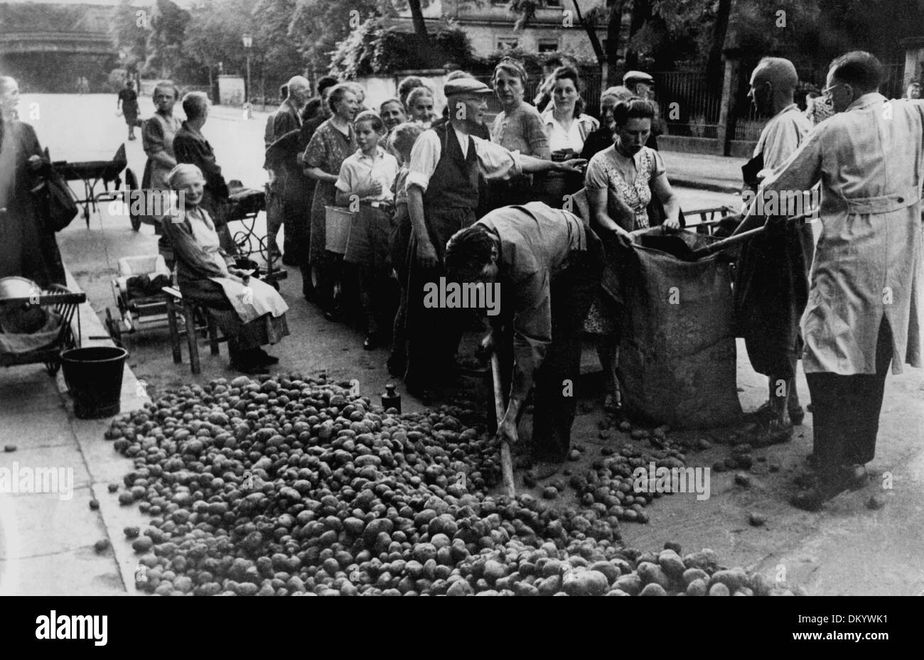Distribution of potatoes to the hungry civilians at the end of the war in 1945. Fotoarchiv für