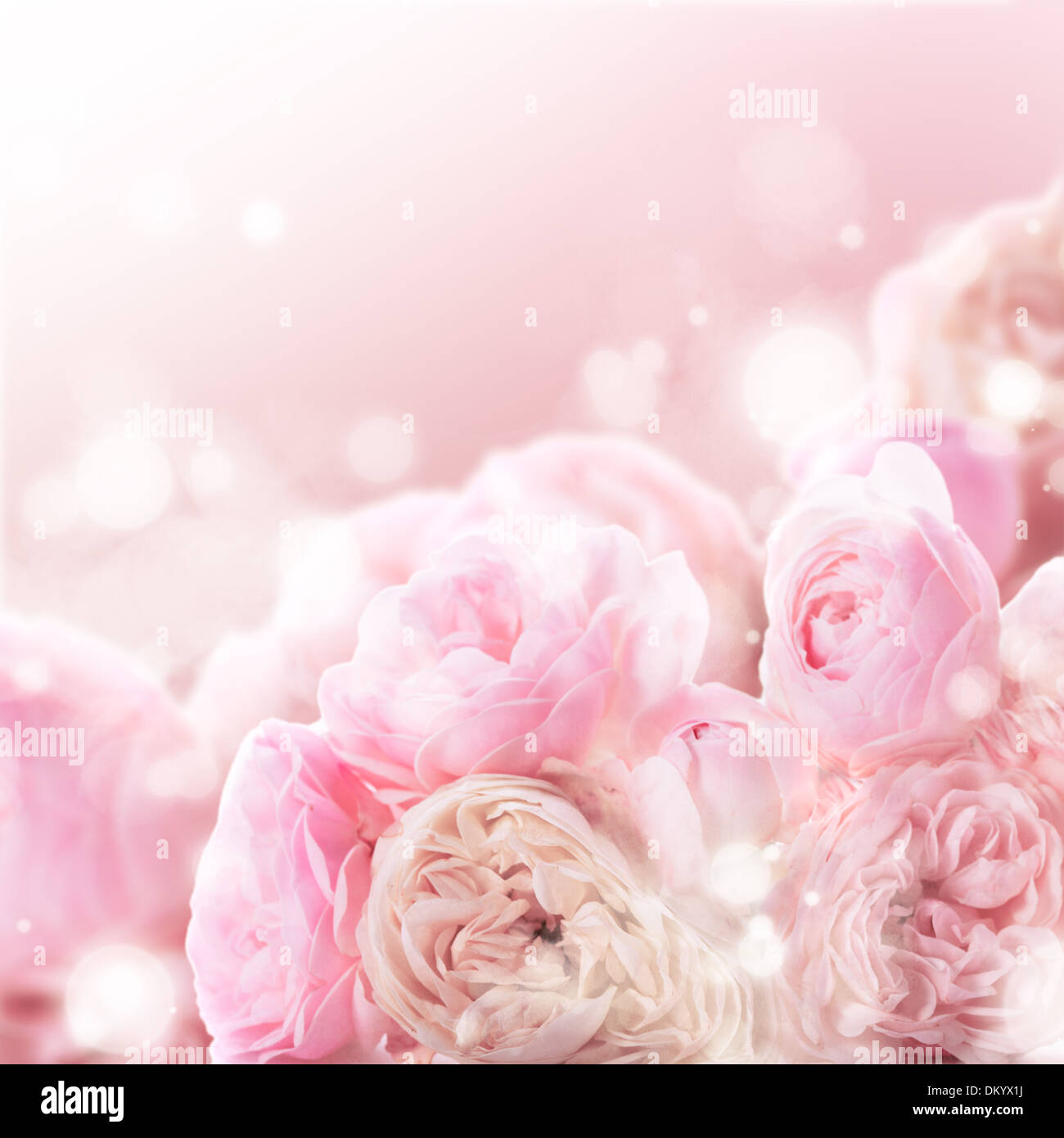 Wedding Design Over White Background