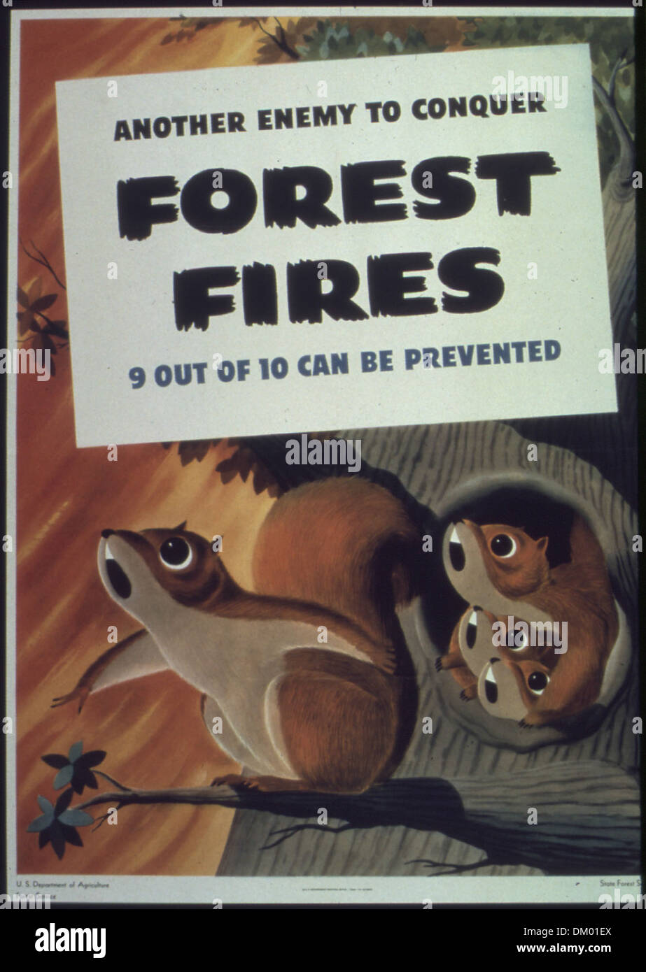 'Another enemy to conquer forest fires' 513861 Stock Photo