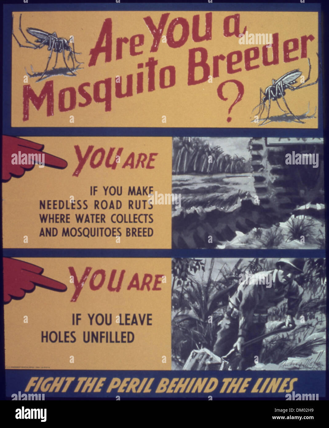 'Are you a mosquito breeder' 513877 Stock Photo