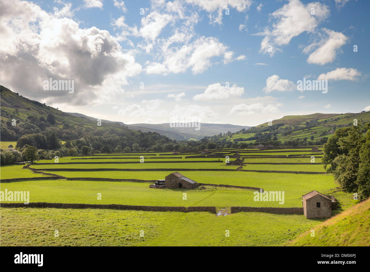 Field barns at Gunnerside, Swaledale, Yorkshire Dales National Park, England. Stock Photo