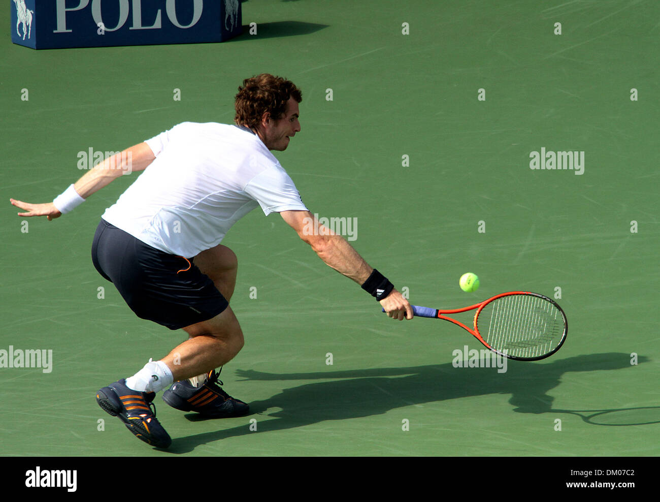 Andy Murray (SCO) in action U.S Open 2012 Men's Semi Final - Tomas Berdych (CZE) vs Andy Murray (SCO) - USTA Billie Jean King Stock Photo