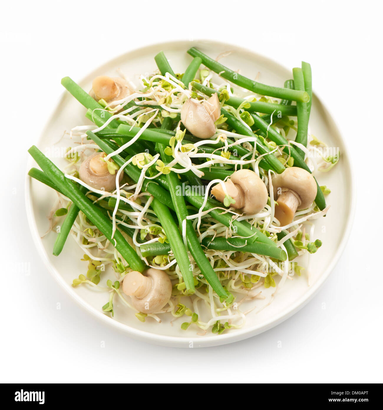 fresh haricot vert salad with radish sprout and mushrooms Stock Photo