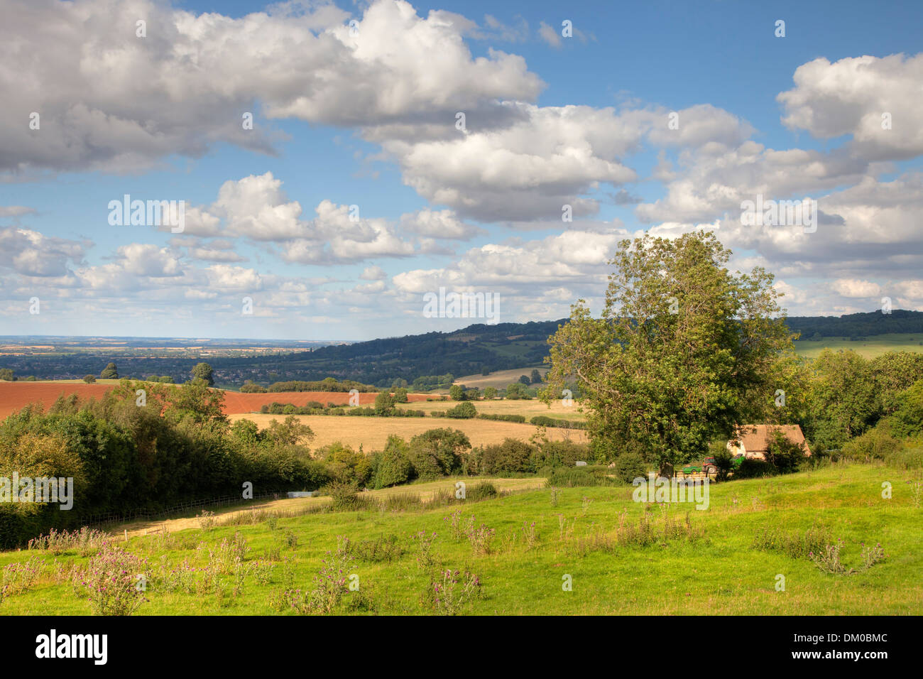 Cotswold landscape in late summer, Gloucestershire, England. Stock Photo