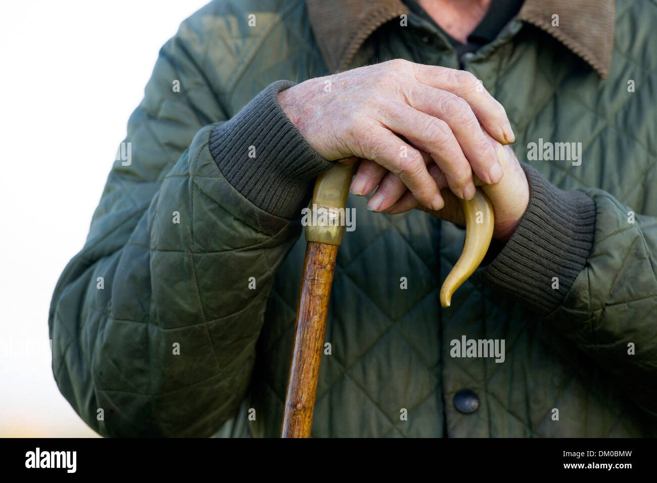 a country gentleman or farmer holding a horn handled walking stick at a  country or agricultural show Stock Photo - Alamy
