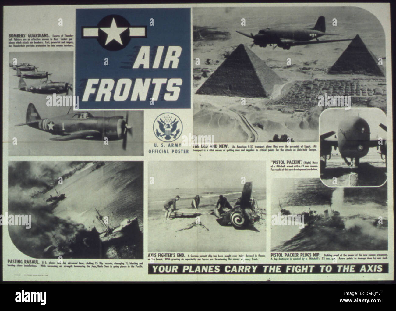 This collection of World War II photographs showcases the Army and Air ...