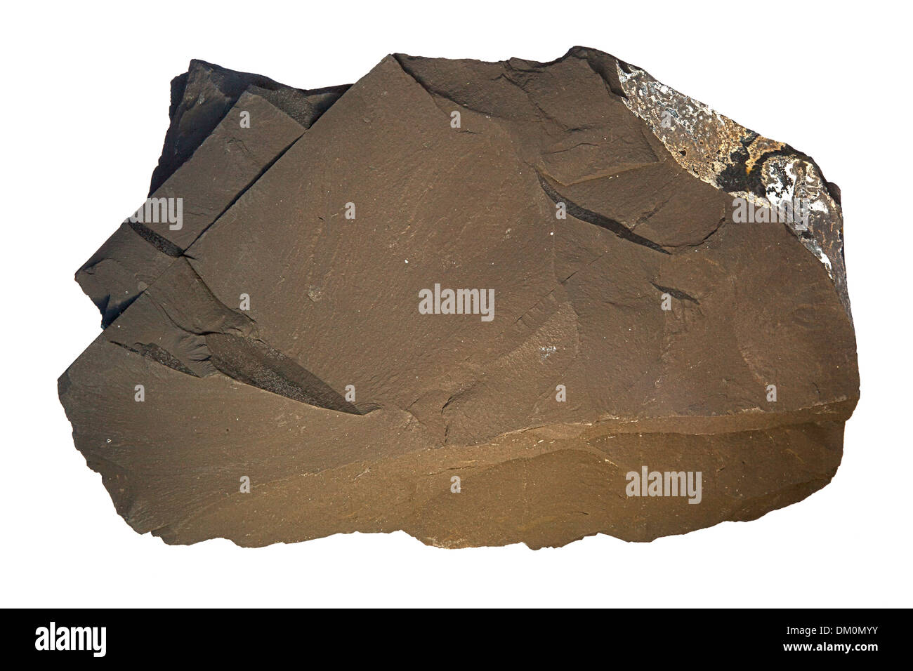 Marcellus shale, near Marcellus New York, source of natural gas