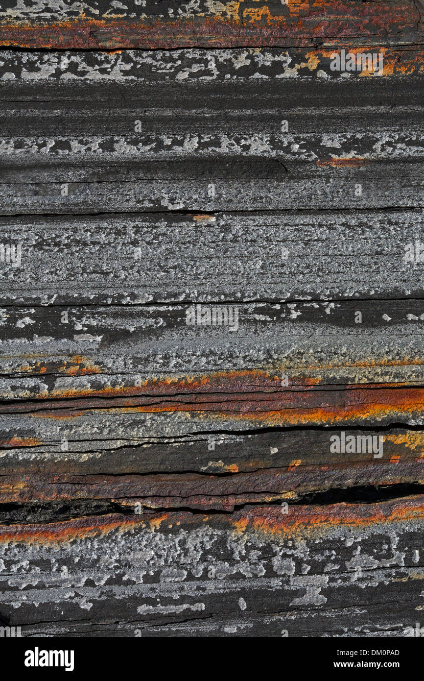 Marcellus shale, near Marcellus New York, source of natural gas