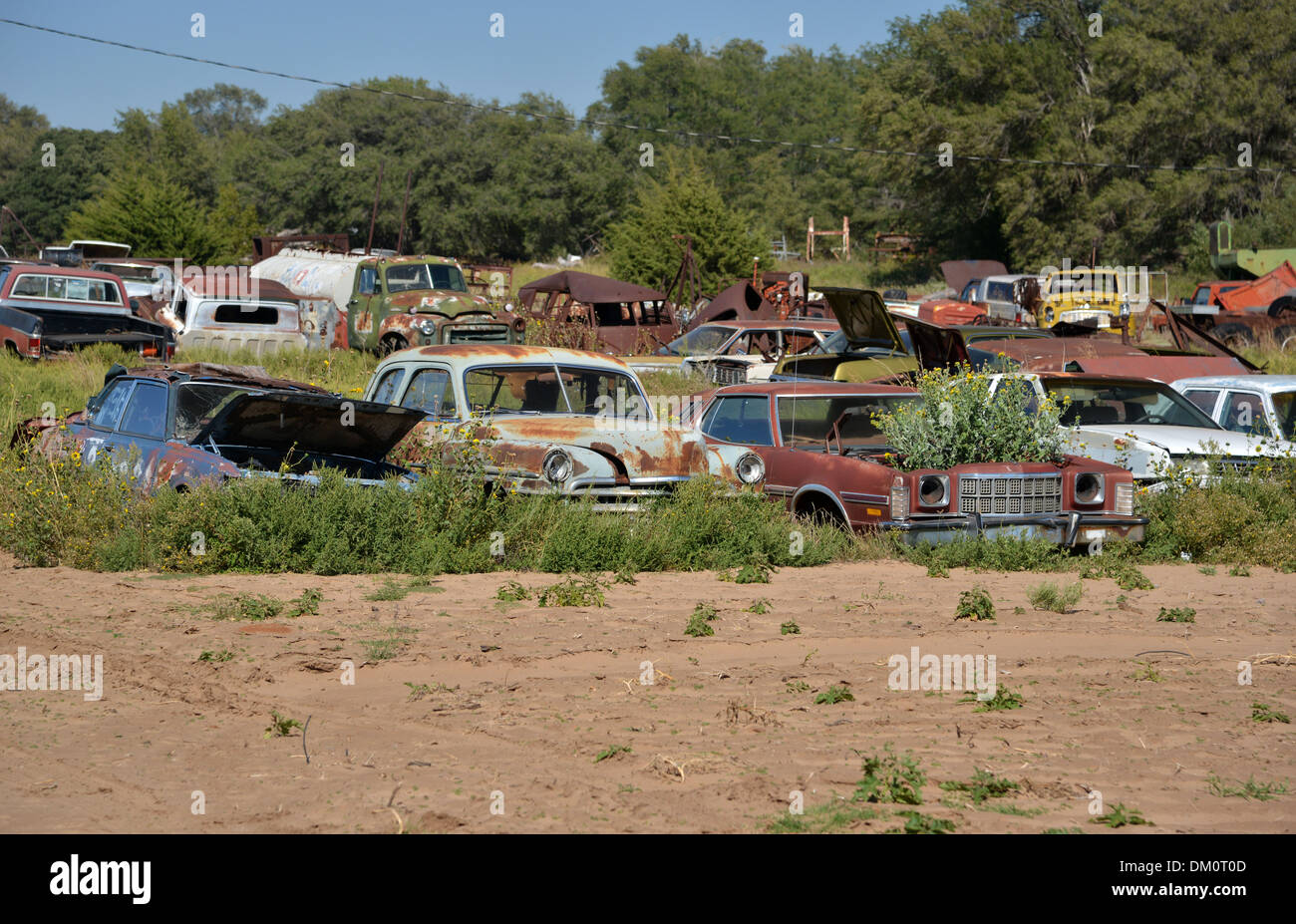 Old American cars rust in a field at the road side, Erick, Oklahoma, along old Route 66 Stock
