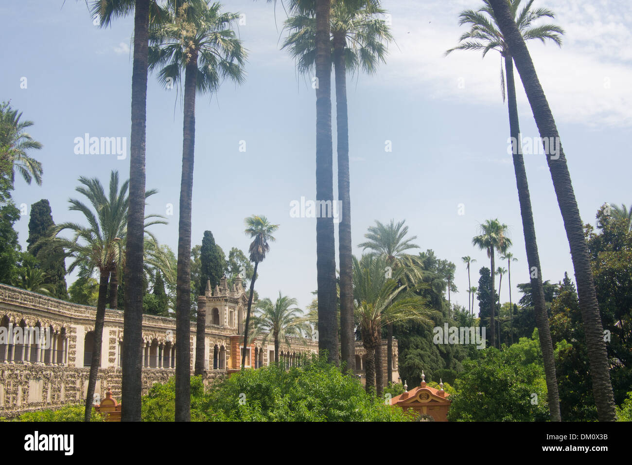 Gardens of The Alcazar (Royal Palace), Seville, Andalucia, Spain. The
