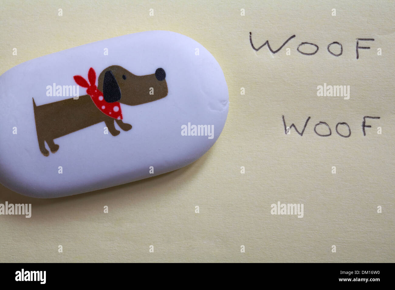 dachshund sausage dog on eraser with woof woof written alongside Stock Photo