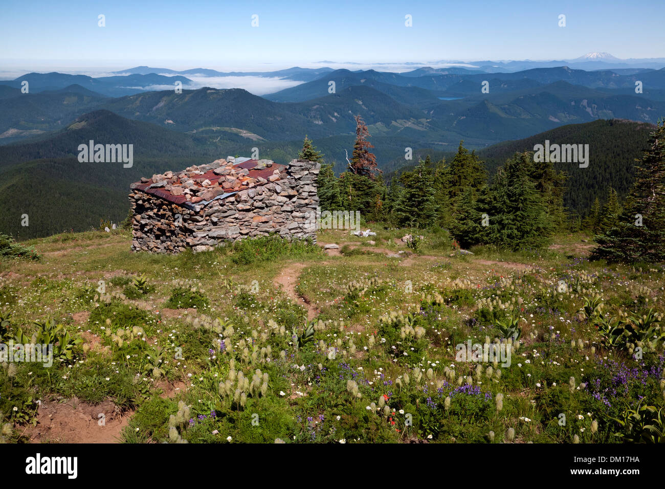 OREGON - McNeil Point Stone Shelter located in a wildflower covered meadow with Mount St. Helens in the distance. Stock Photo