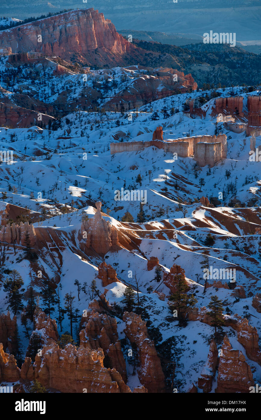 the hoodoos in the Amphitheatre of Bryce Canyon at dawn, Utah, USA Stock Photo