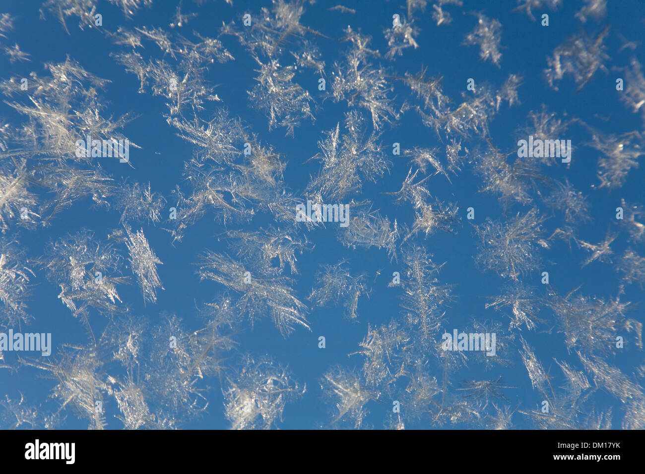 Blue Winter window Ice crystal Frost Icepatterns Stock Photo - Alamy