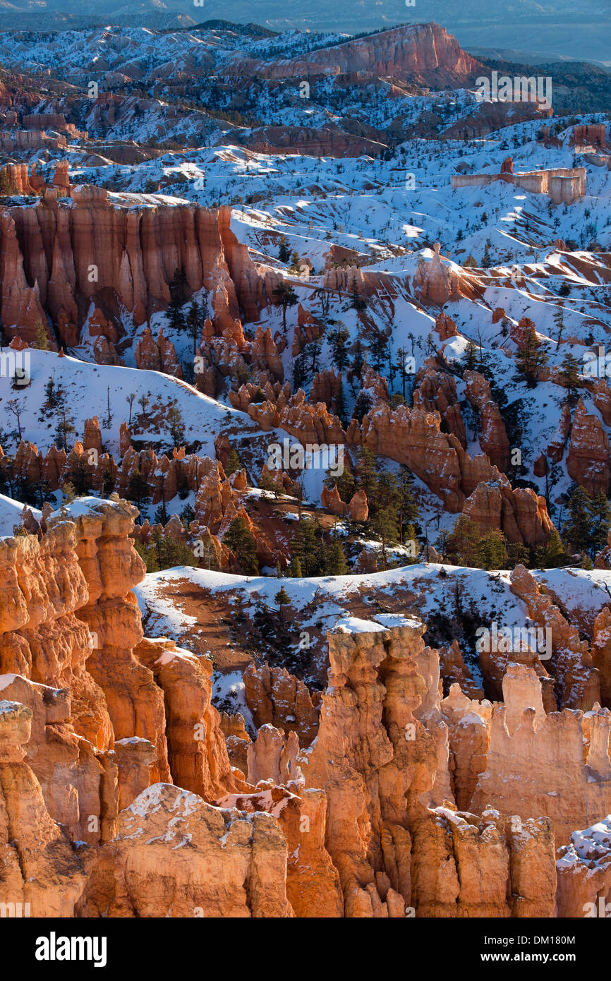 the hoodoos in the Amphitheatre of Bryce Canyon in winter at dawn, Utah, USA Stock Photo