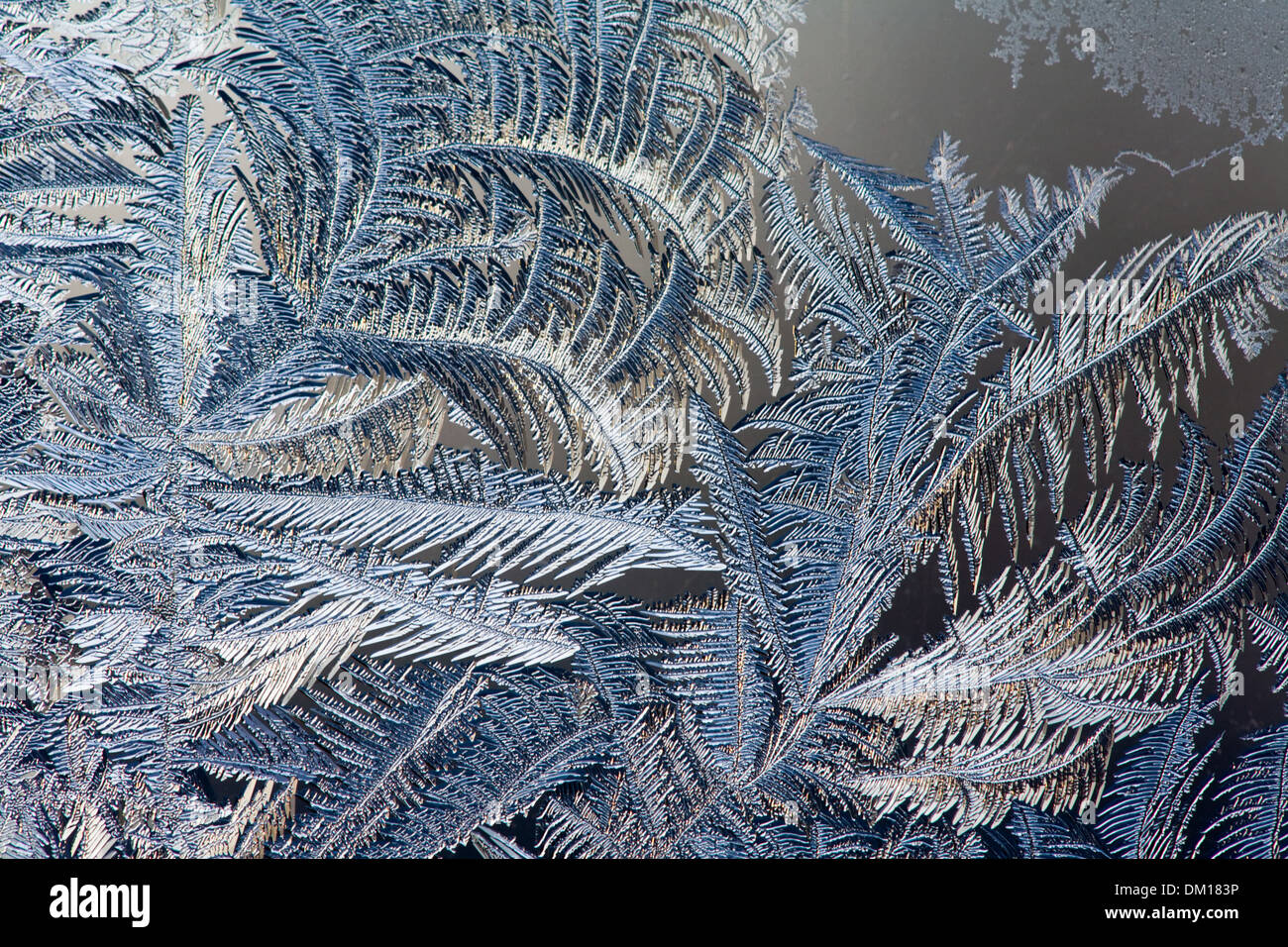 Blue Winter window Ice crystal  Frost Icepatterns Stock Photo