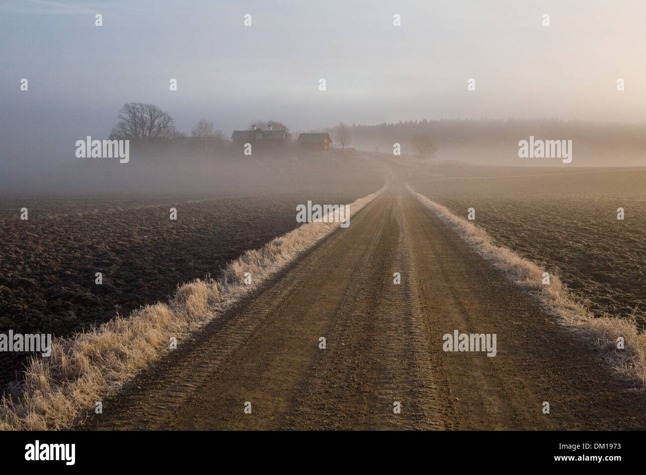 Gravelled road Dirt road Agriculture Furrows Frost Winter Stock Photo