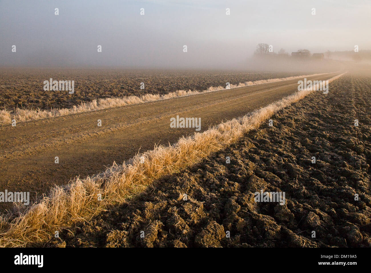Gravelled road Dirt road Agriculture Furrows Frost Winter Stock Photo