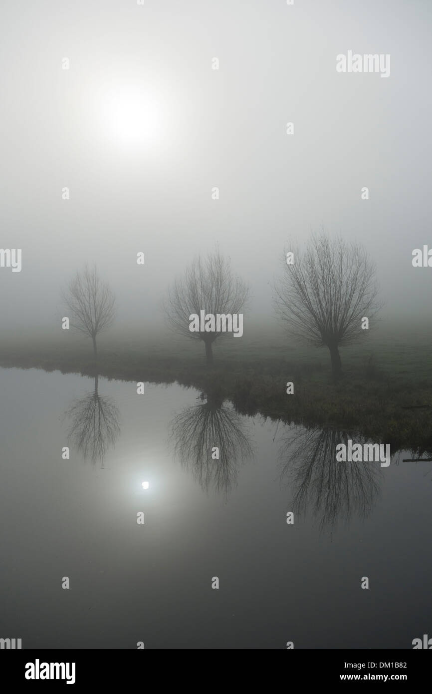 Misty winter's morning: morning mist clings over the Suffolk landscape. Stock Photo