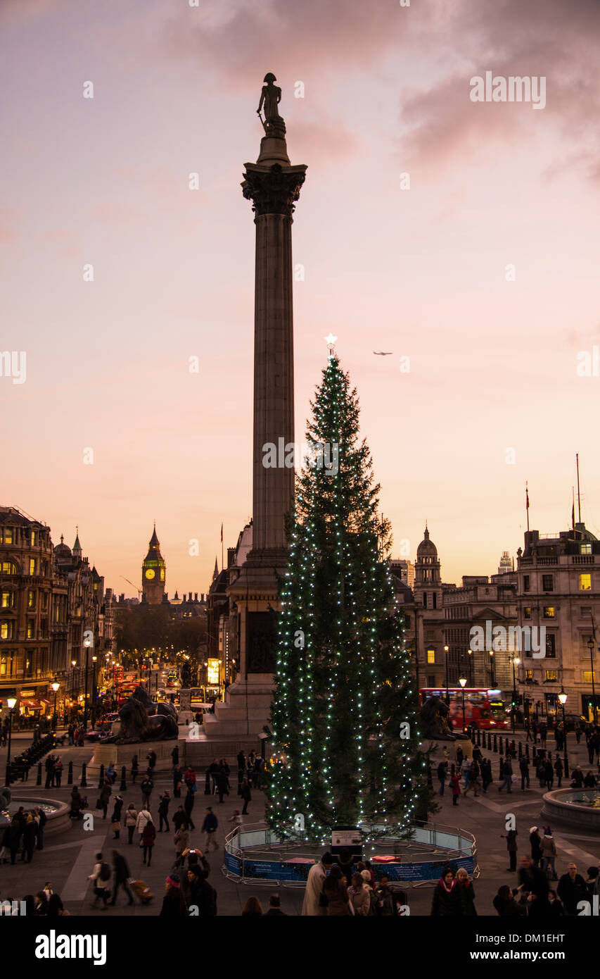 Xmas tree in Trafalgar Square, London. Uk Stock Photo Alamy