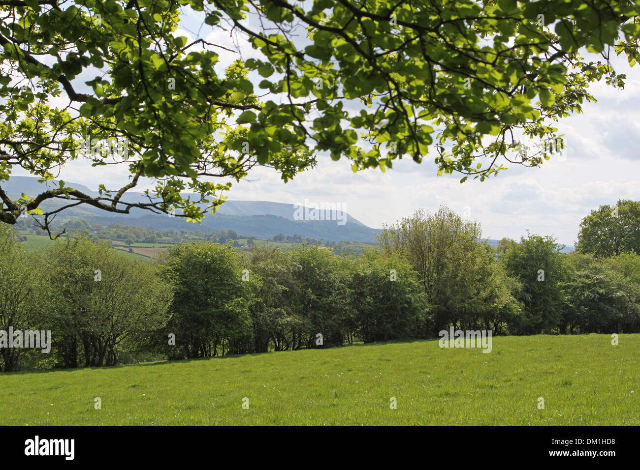 View of the Black Mountains in the Brecon Beacons National Park Wales