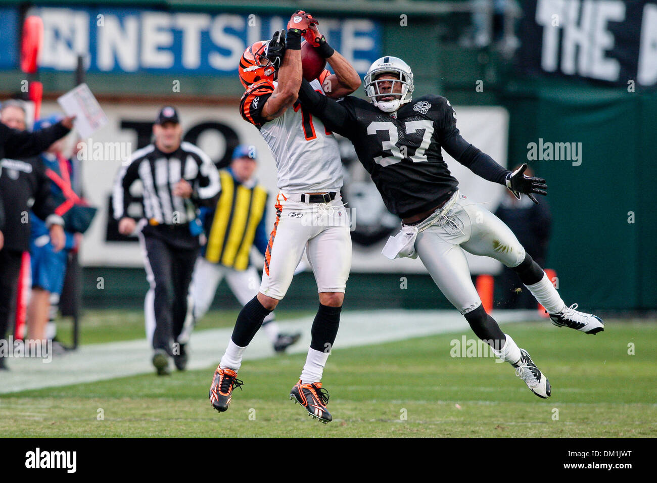 Cincinnati wide receiver Laveranues Coles (11) during game action at the  Oakland Coliseum, also known as the ''Black Hole'' in Oakland, Claif. on  Sunday. The Oakland Raiders defeated the Cincinnati Bangles 20-17. (