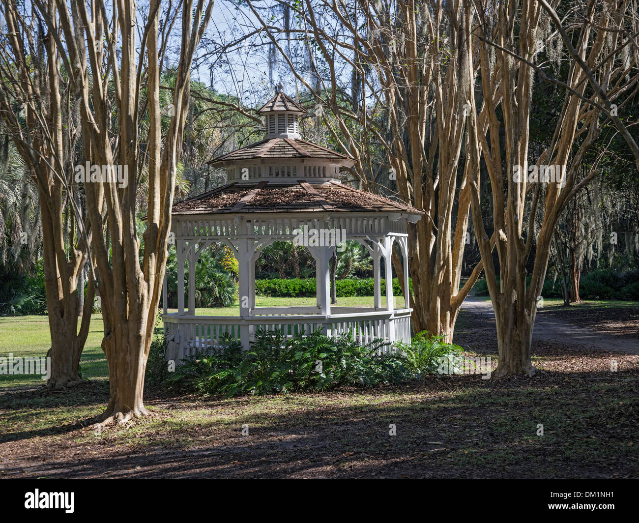 Kanapaha Botanical Gardens Gainesville Florida Stock Photo