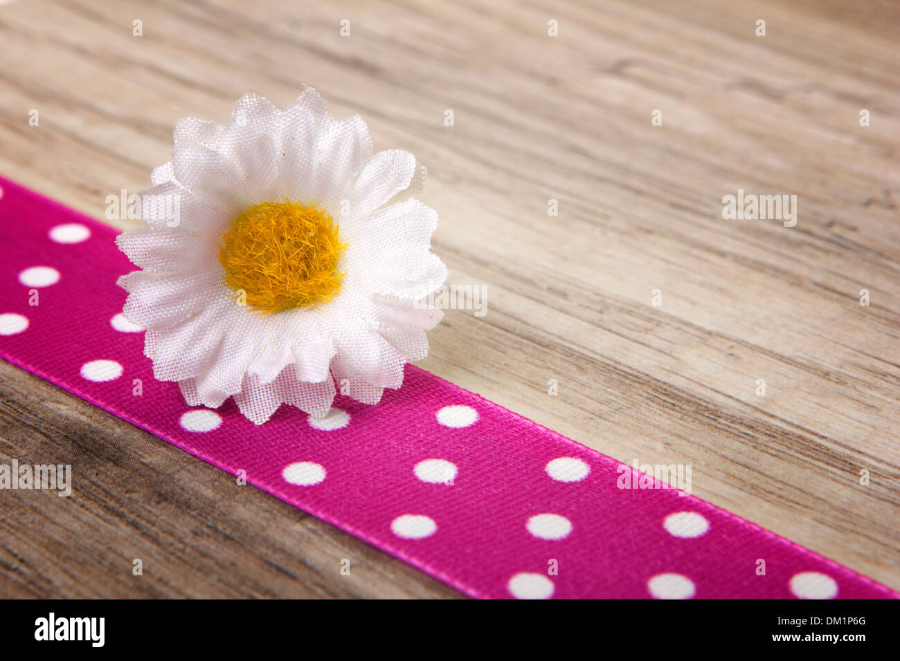 daisy with pink ribbon on wood background Stock Photo
