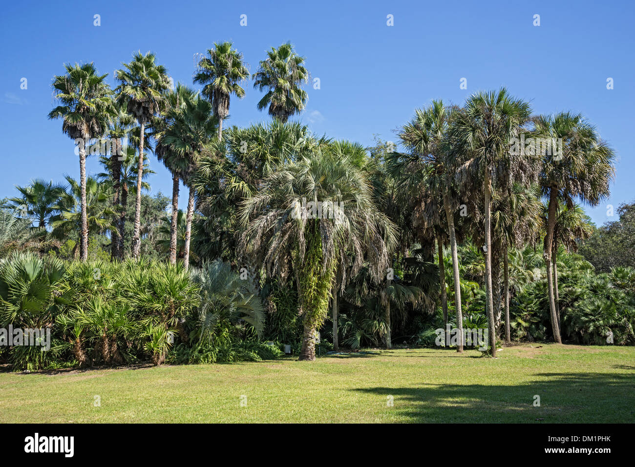 Kanapaha Botanical Gardens Gainesville Florida Stock Photo Alamy