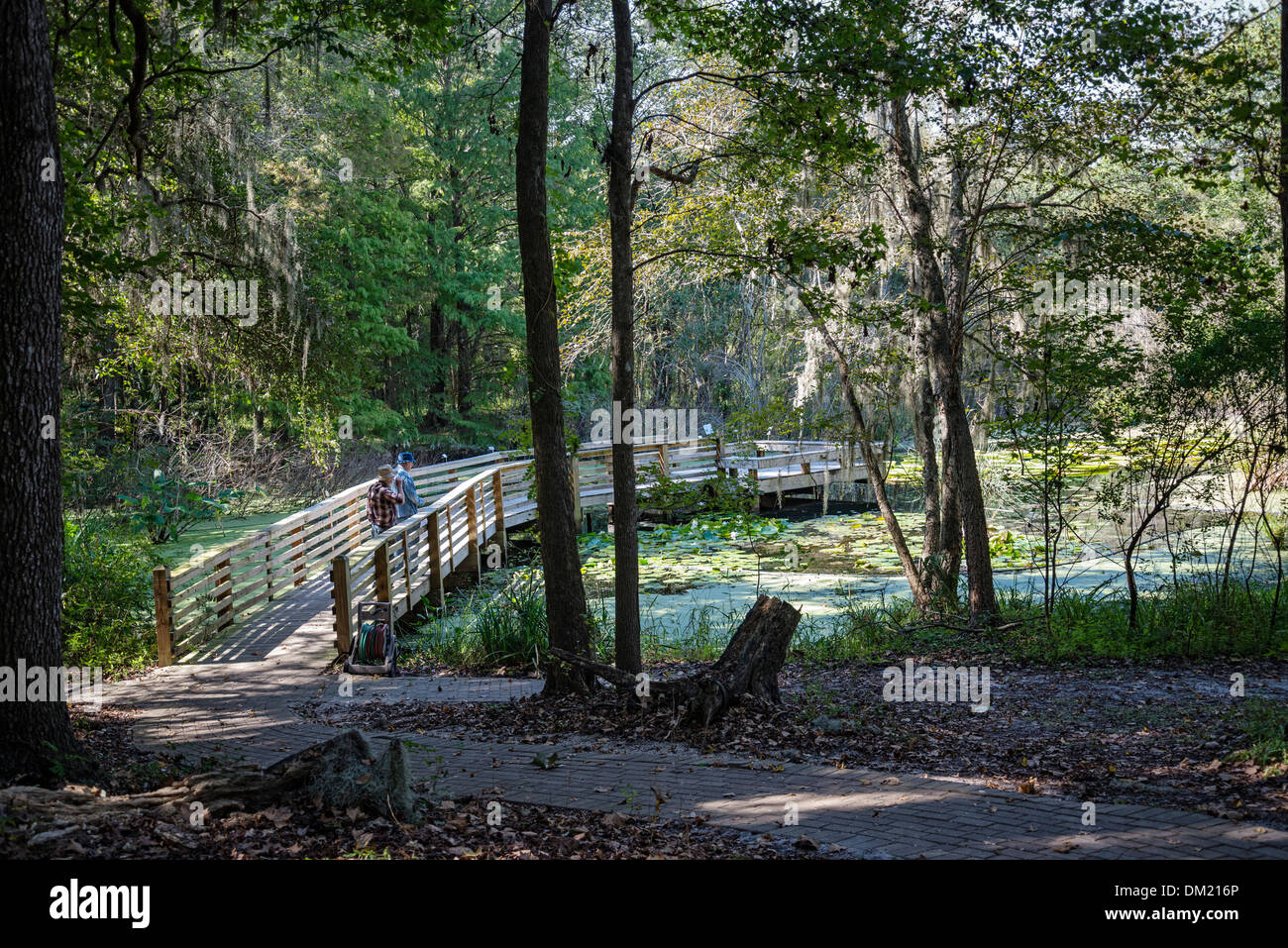 Kanapaha Botanical Gardens Gainesville Florida Stock Photo Alamy