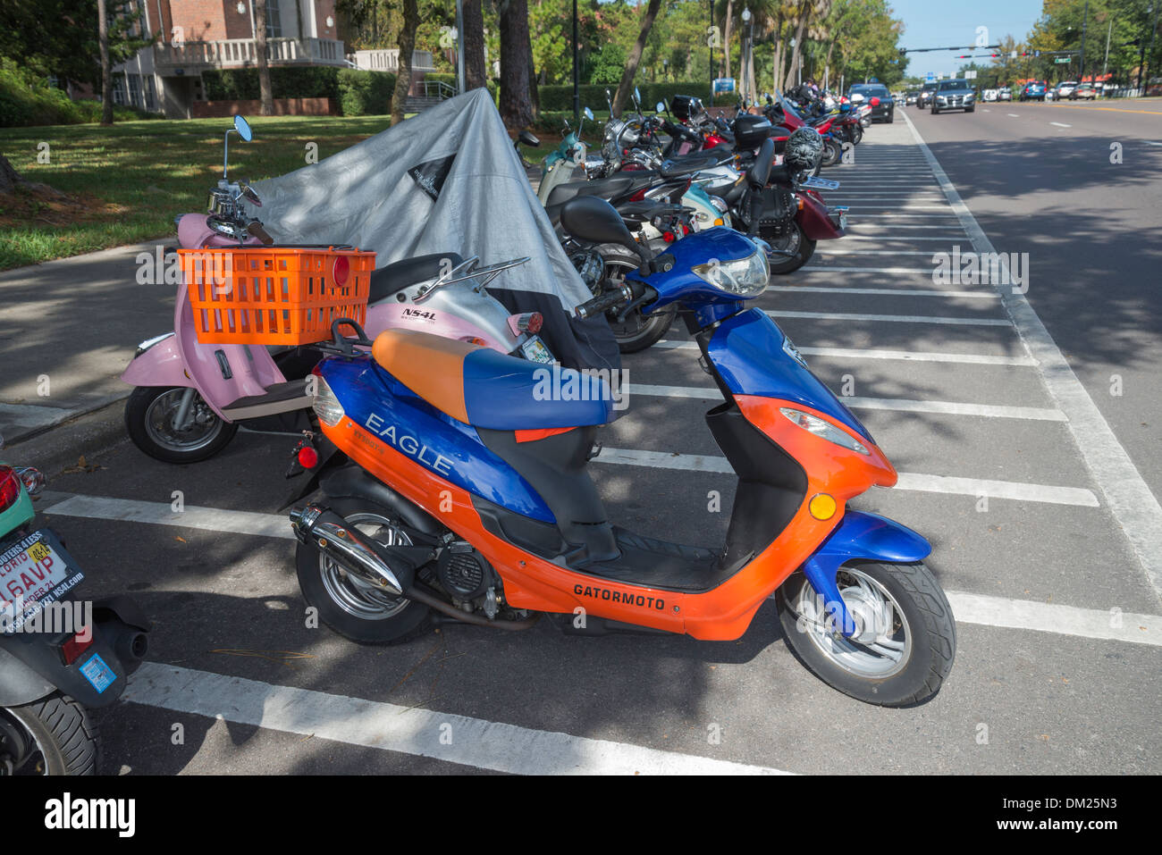 Motorscooters are the chief means of transportation on the University of Florida campus in