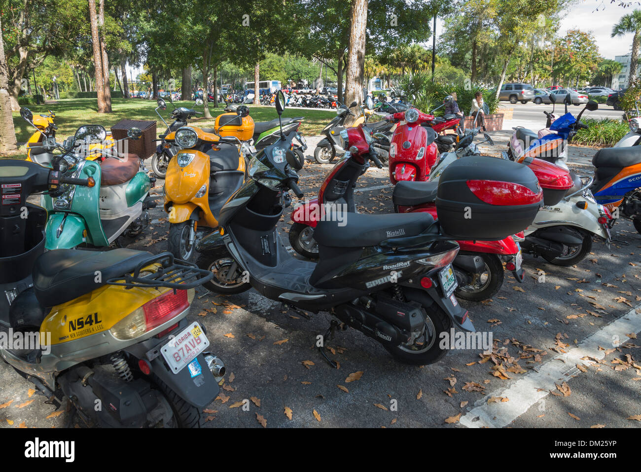 Motorscooters are the chief means of transportation on the University of Florida campus in